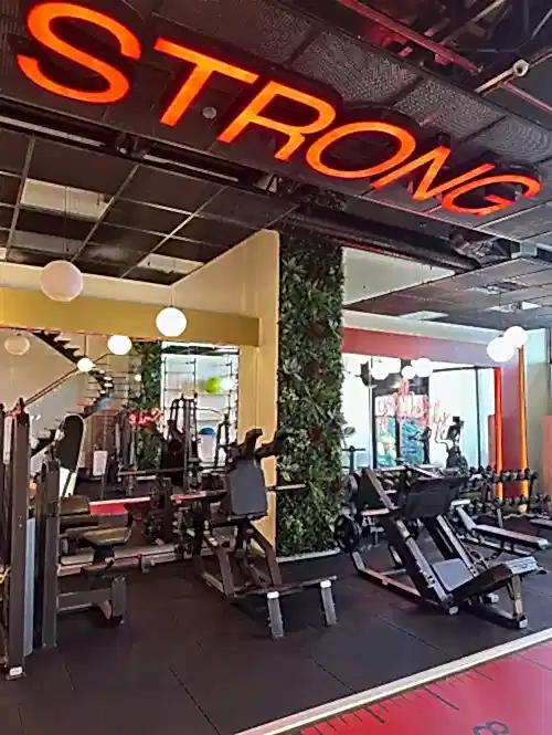 Elfit Women Gym