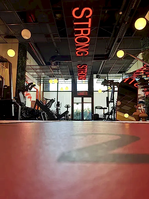 Elfit Women Gym