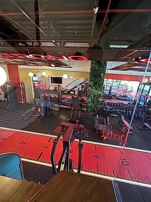 Elfit Women Gym
