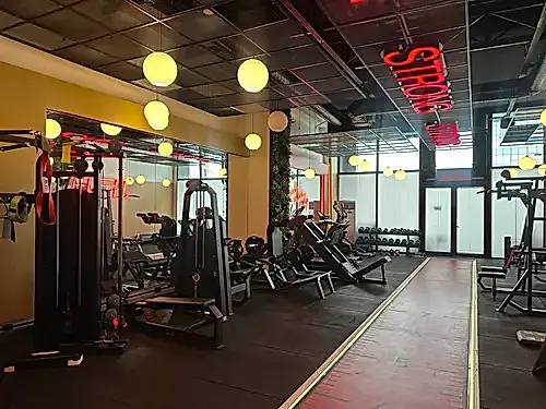 Elfit Women Gym