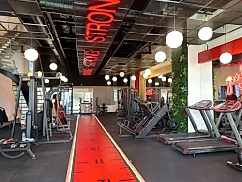 Elfit Women Gym