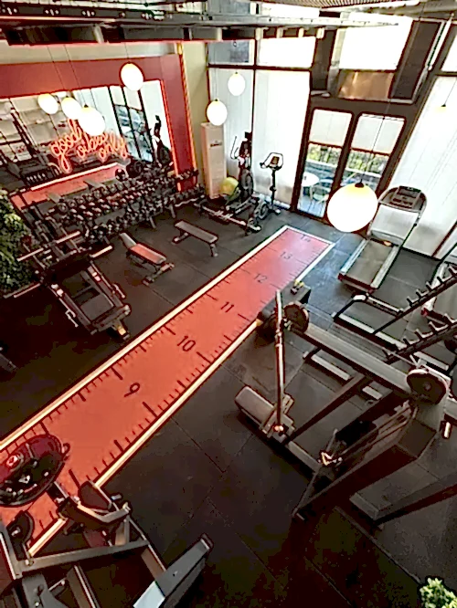 Elfit Women Gym