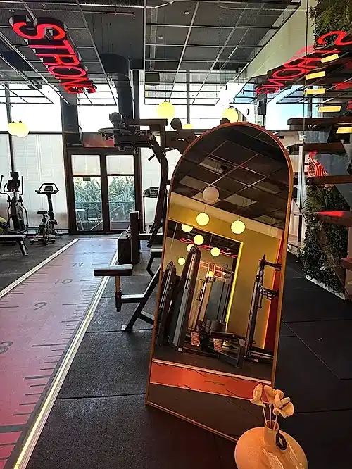 Elfit Women Gym