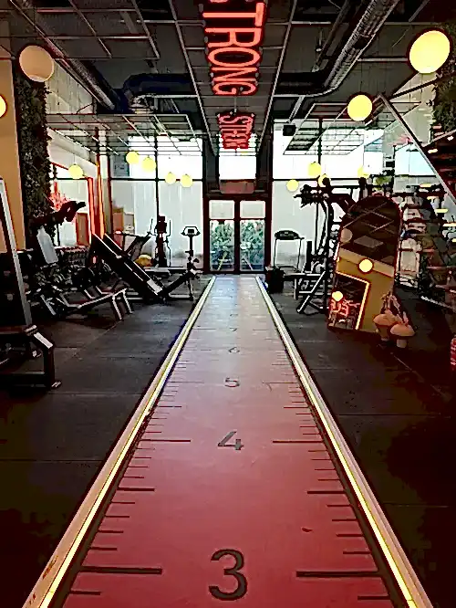 Elfit Women Gym