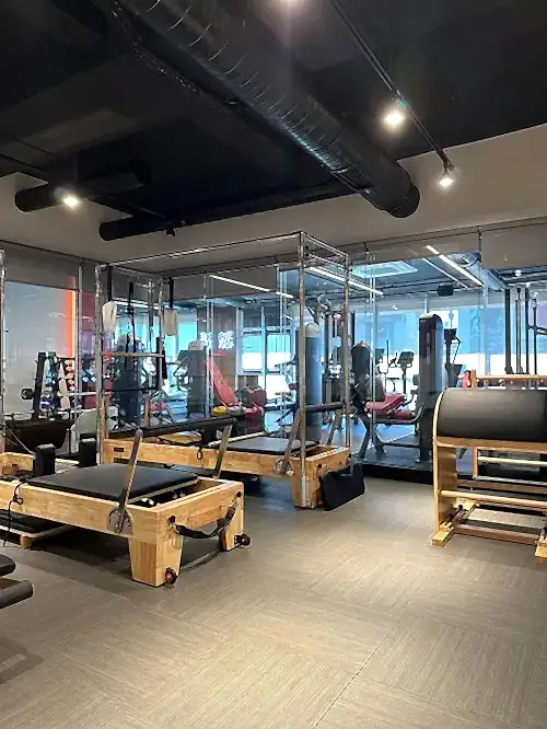 Elfit Women Gym