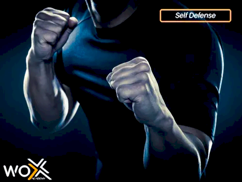 Wox Academy