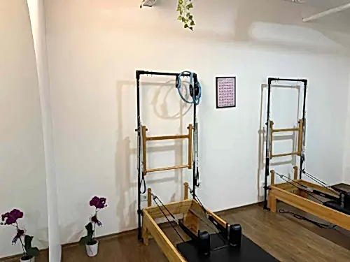 Cat GYM - 4. Fotoğraf