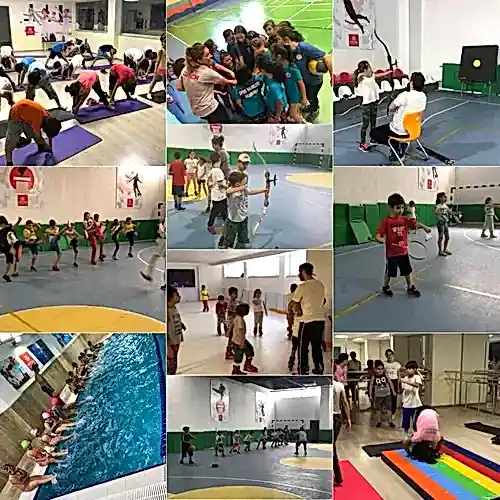 Spor Bilimleri Akademisi 