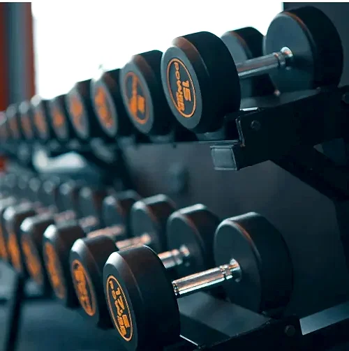 Gym Skull - 4. Fotoğraf